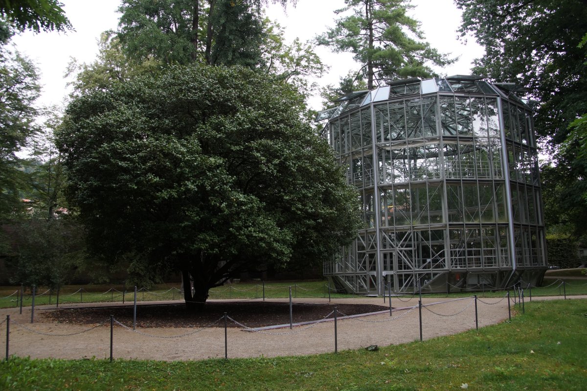 Schloss Pillnitz 2020